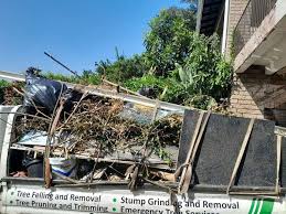 Best Dumpster Rental Services  in Bradley Beach, NJ