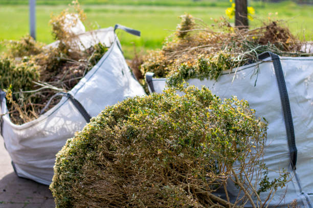 Best Moving and Downsizing Cleanouts  in Bradley Beach, NJ