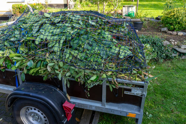 Professional Junk Removal Services in Bradley Beach, NJ